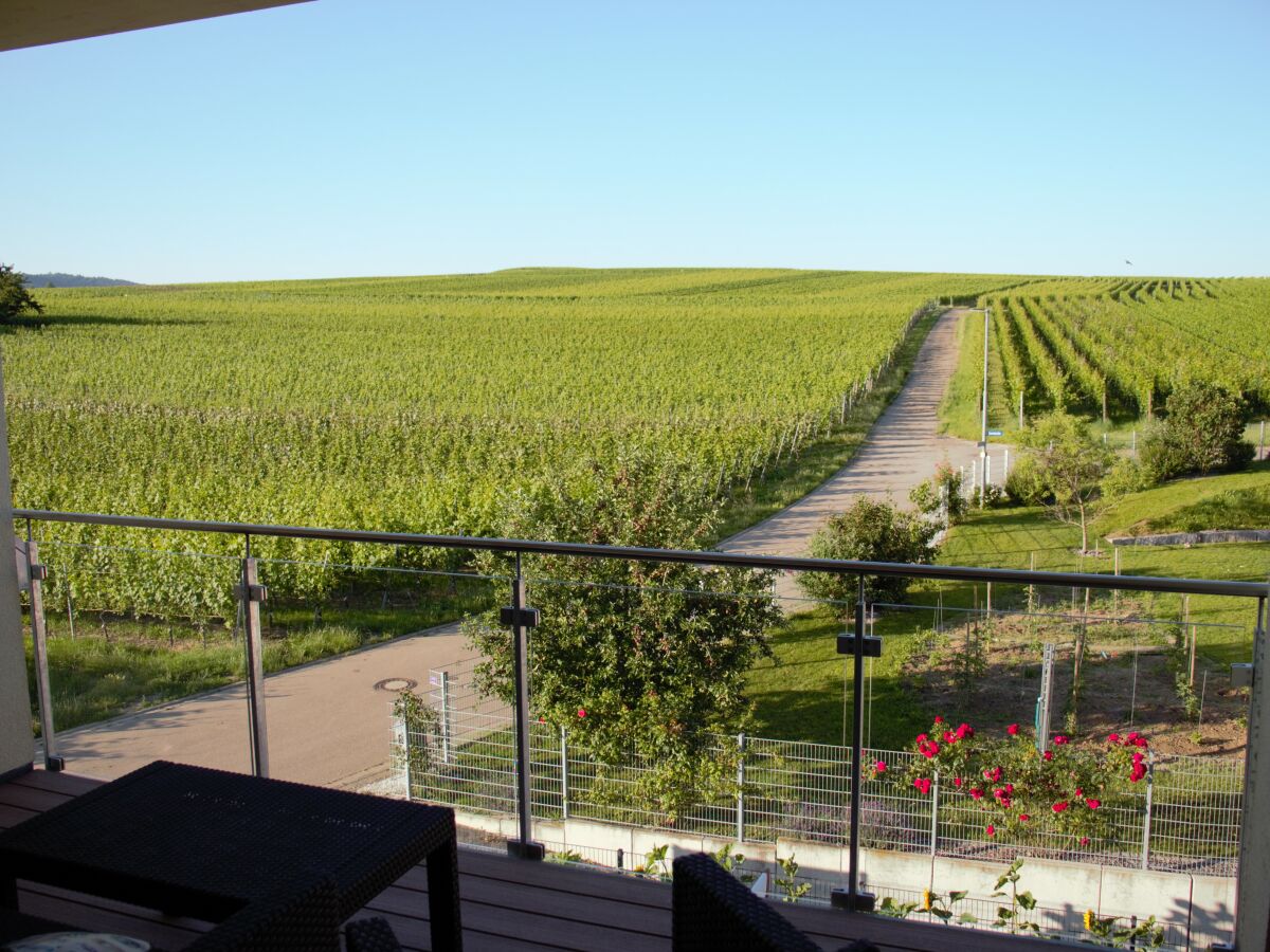 Holiday apartment Casa Luna im Kaiserstuhl "Hochkönigsburg" - Outdoor photo 2