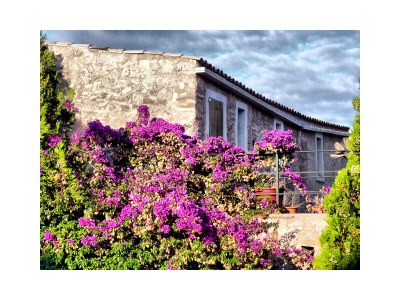 Holiday house Mallorcan country house - Outdoor photo 10