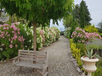Villa Moderne Villa in Camplong mit privatem Pool - Outdoor photo 3