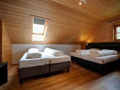 Holiday house Chalet in Mauterndorf nahe Skipisten - Features photo 17