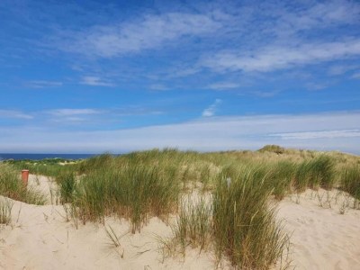 Holiday house Apartment in Vrouwenpolder near the Dunes - Environment photo 31