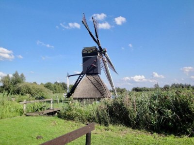 Holiday house Apartment in Vrouwenpolder near the Dunes - Environment photo 35