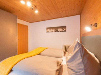 Apartment Apartment in Kitzbühel near Ski Lifts - Features photo 14