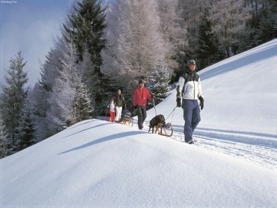 Apartment Apartment in Kitzbühel near Ski Lifts - Environment photo 31