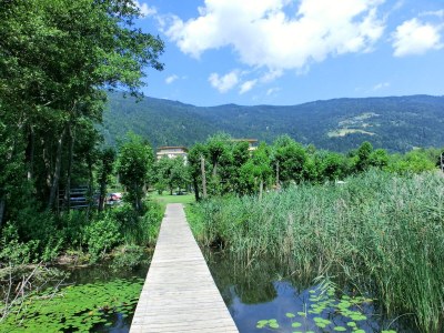 Apartment Apartment direkt am Ossiacher See 2 - Outdoor photo 7