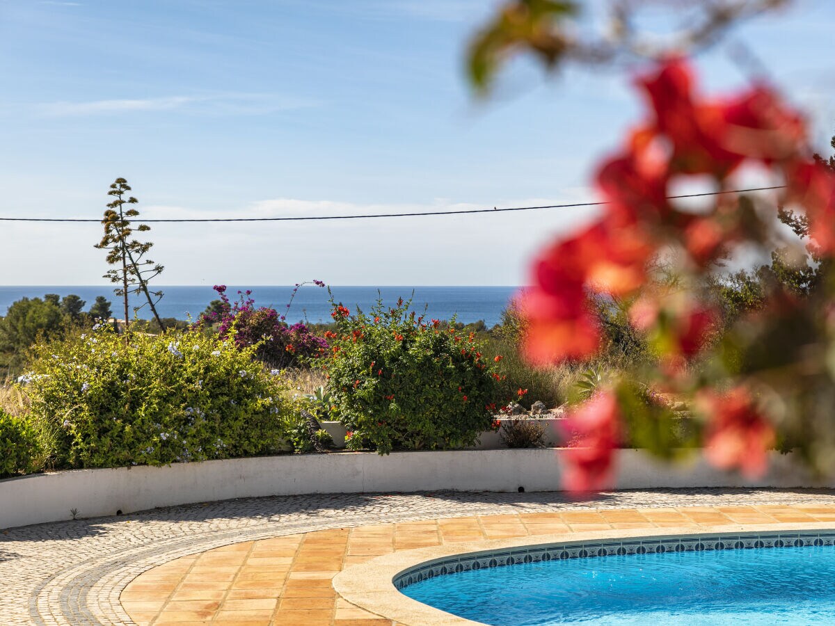 Villa Casa das oliveiras - Outdoor photo 3