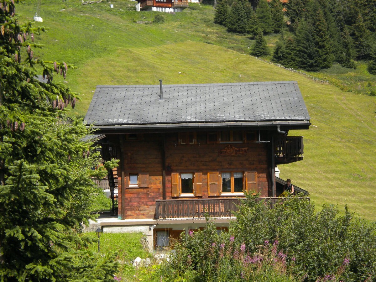 Holiday apartment Chalet am Sonnenhang