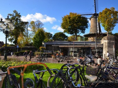 Holiday apartment Gestel 1 - Environment photo 22