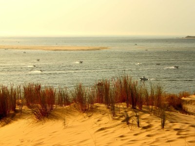 Holiday house Poolside Escape von Arcachon - Environment photo 25