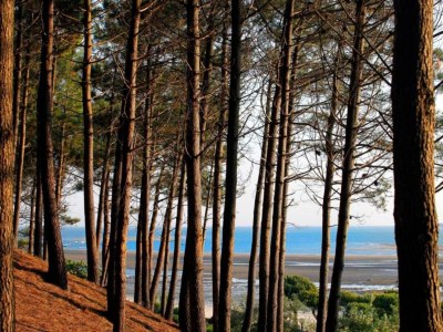 Holiday house Poolside Escape von Arcachon - Environment photo 39