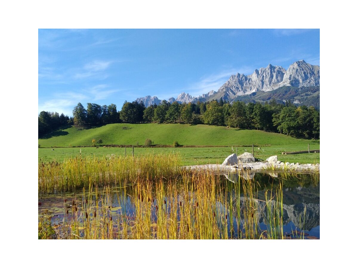 Holiday apartment Farm Kernerbauer - Outdoor photo 5