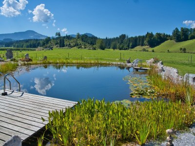 Holiday apartment Farm Kernerbauer - Outdoor photo 10