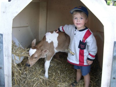 Holiday apartment Farm Kernerbauer - Environment photo 29