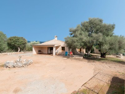 Villa Sa Plana (Villa Calvia) - Environment photo 33