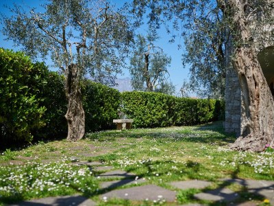 Holiday apartment Appartamenti Alin "Mimosa" - Outdoor photo 8