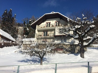 Holiday apartment Villa Seeblick Souterrain - Outdoor photo 10
