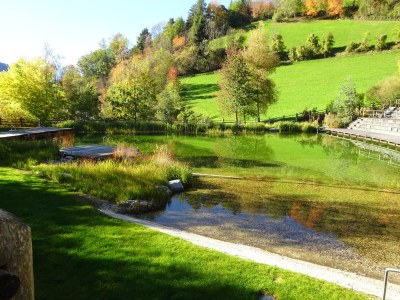 Holiday apartment Pichlerhof - Environment photo 28