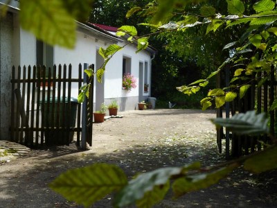 Holiday apartment Rotkehlchen - Outdoor photo 2