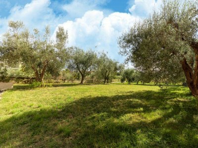 Apartment Apartment in Tuoro near Lake Trasimeno - Outdoor photo 3