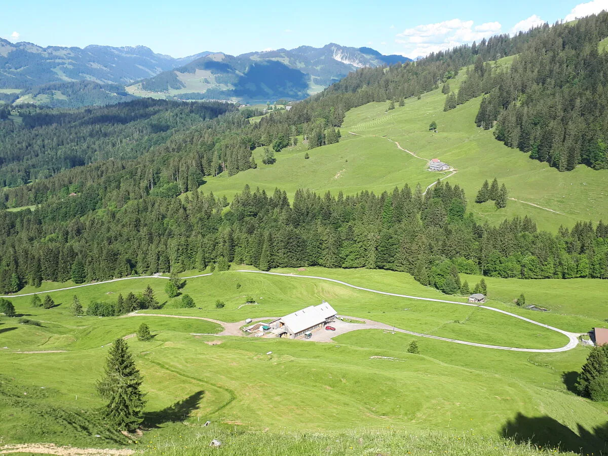 Alpine hut Holiday Cabin - Alpe Finne
