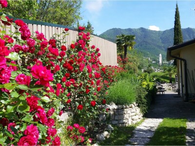 Holiday house Casa Rosina - Outdoor photo 11