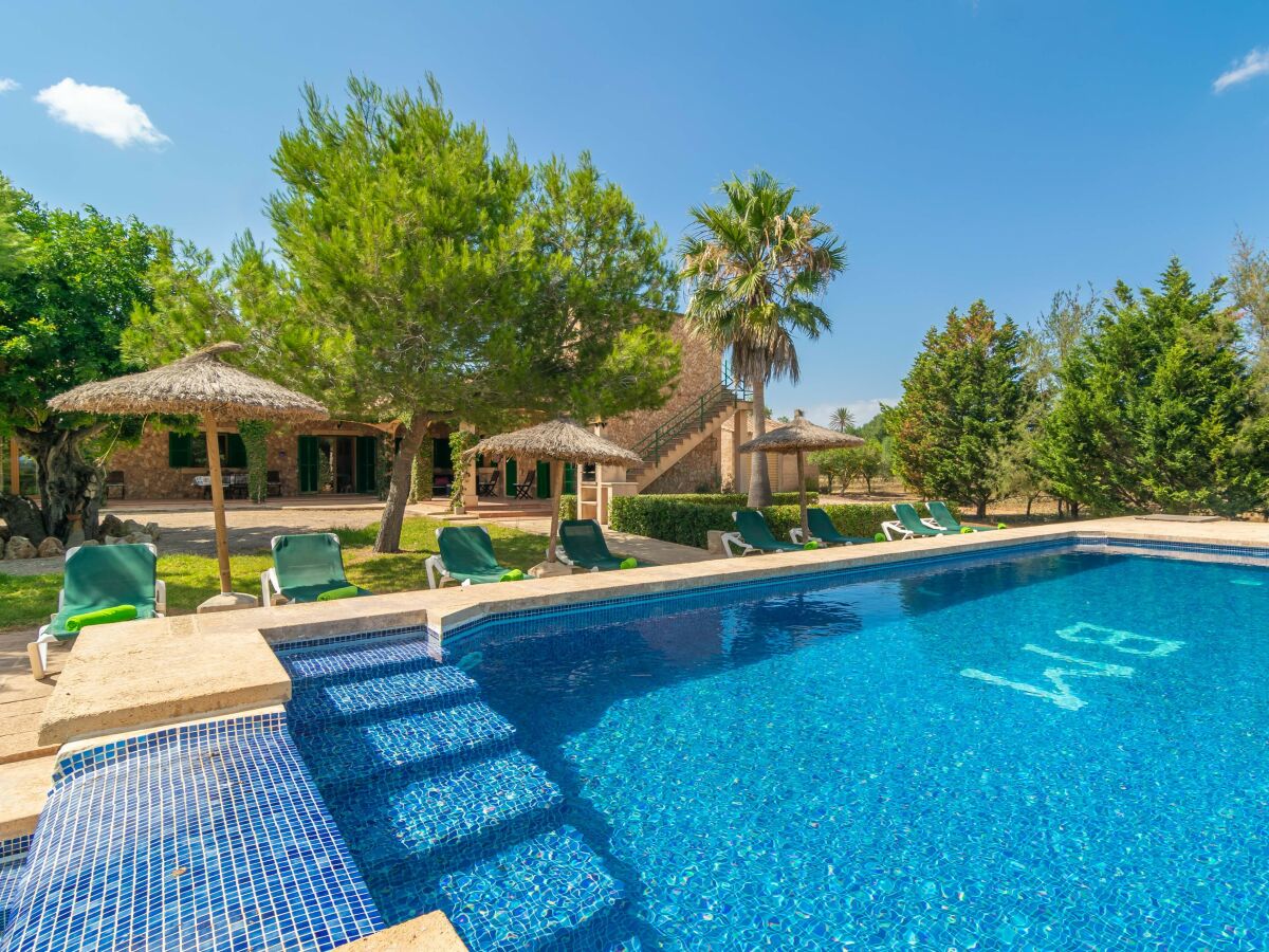 Villa Los Girasoles