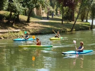 Castle Bed & breakfast in château in Allier - Environment photo 15