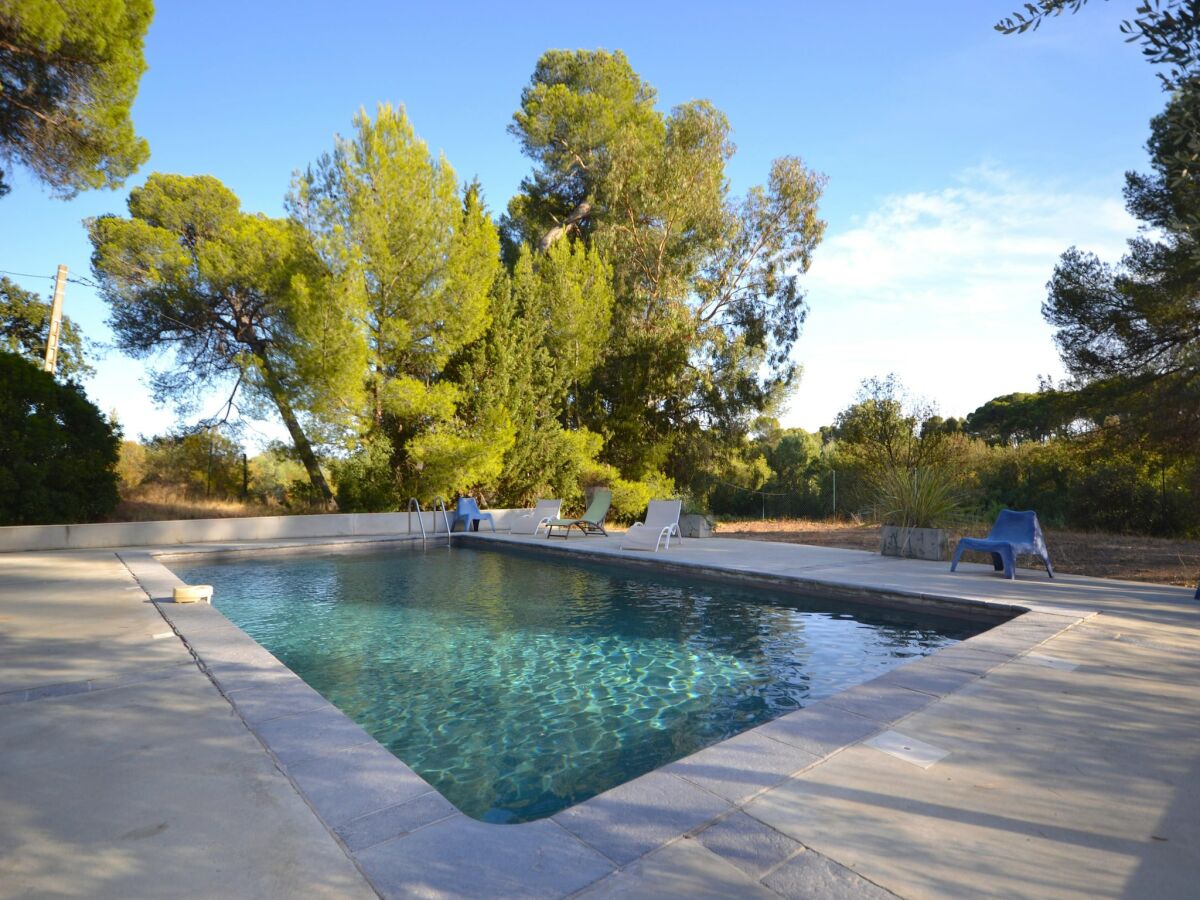 Apartment Flat with pool in the heart of vineyards