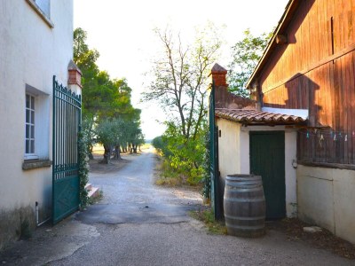 Apartment Flat with pool in the heart of vineyards - Features photo 22
