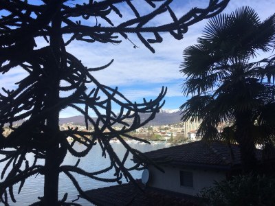 Holiday apartment Art Home Beni in Lugano-Castagnola - Environment photo 29