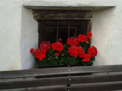 Holiday apartment Morgensonne - Outdoor photo 10