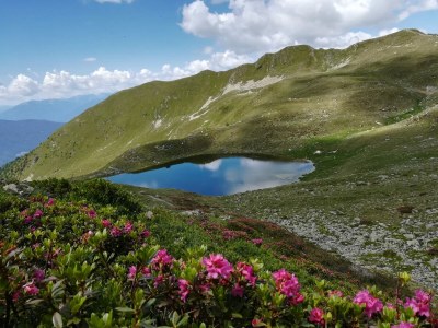 Holiday apartment Morgensonne - Environment photo 32