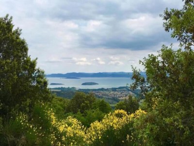 Apartment Wohnung in Tuoro am Lago Trasimeno - Environment photo 34