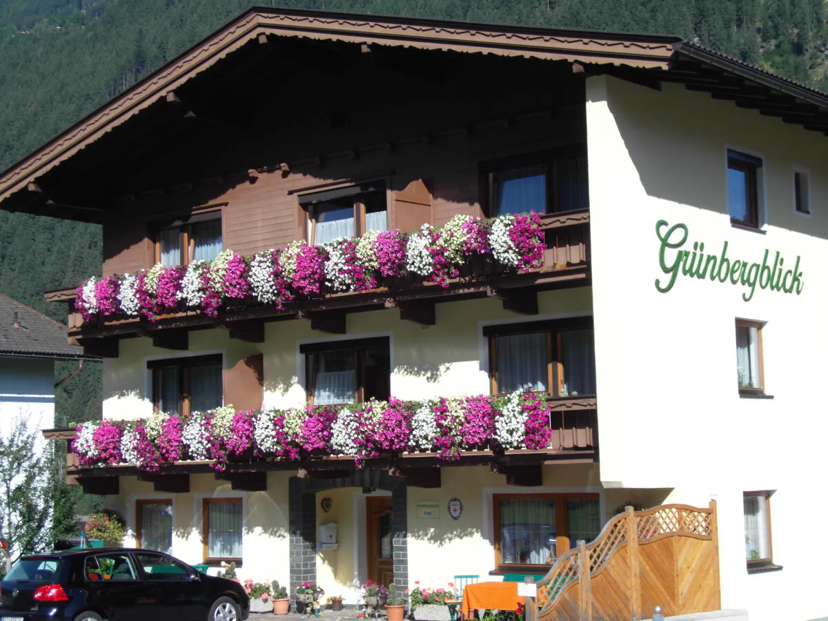 Holiday apartment GrÃ¼nbergblick