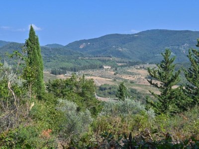 Apartment A Vineyard Apartment Retreat - Environment photo 32