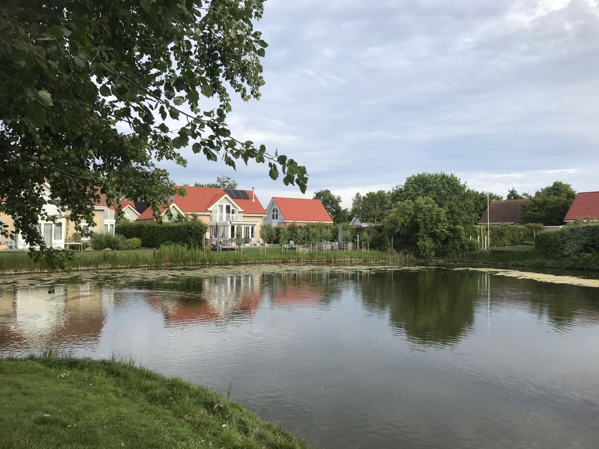 Holiday house Zandduin - Outdoor photo 4