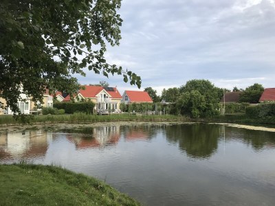 Holiday house Zandduin - Outdoor photo 4