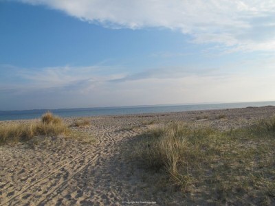 Holiday apartment Schlei Liebe - Environment photo 29