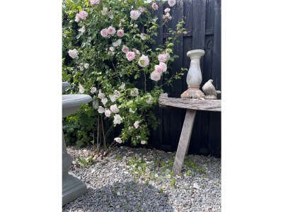 Holiday apartment Schwanen Herz - Outdoor photo 12