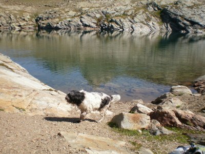 Holiday apartment Eisenspitze - Outdoor photo 14