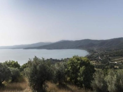 Holiday house Holiday Home in Magione near Lake Trasimeno - Environment photo 34