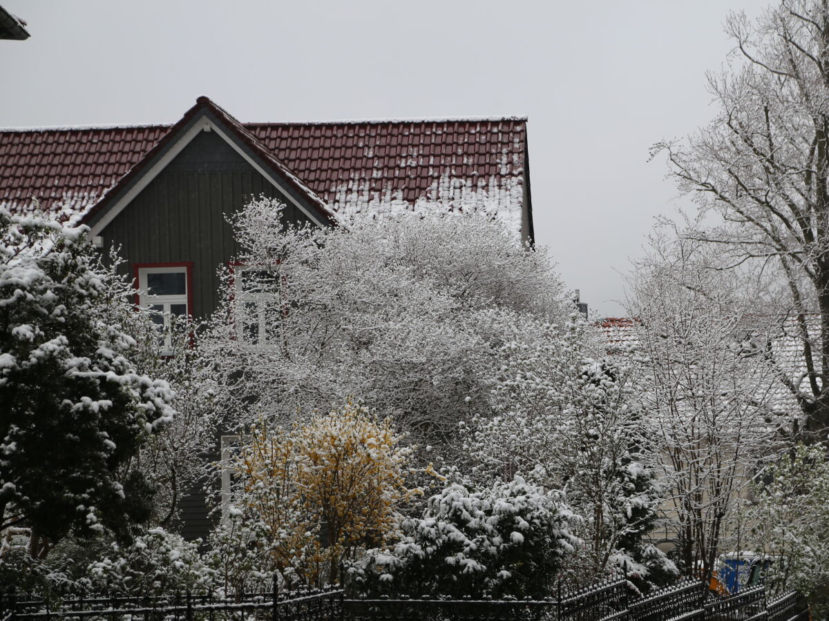 Holiday apartment Altes Logierhaus - Outdoor photo 4