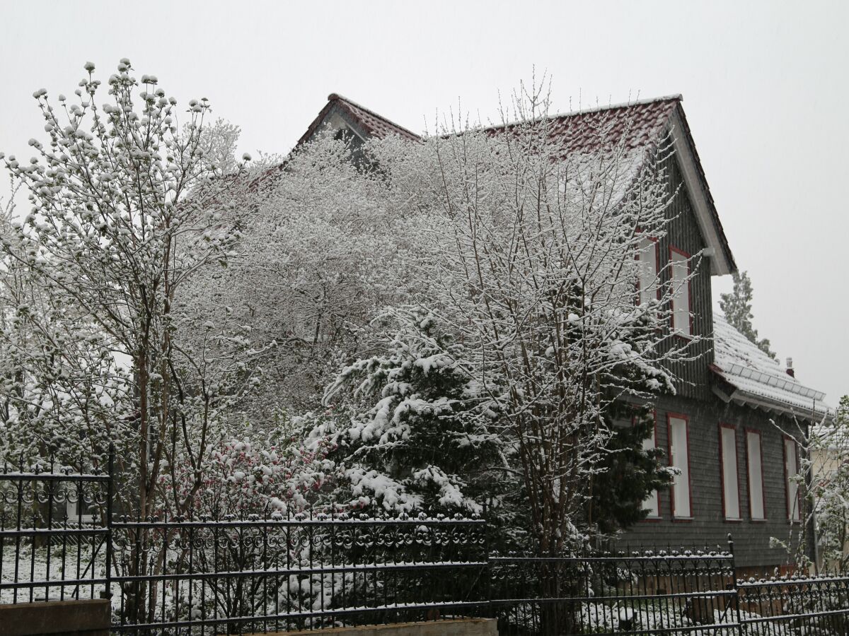 Holiday apartment Altes Logierhaus - Outdoor photo 5