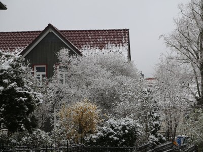 Holiday apartment Altes Logierhaus - Outdoor photo 4