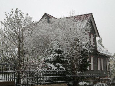 Holiday apartment Altes Logierhaus - Outdoor photo 5