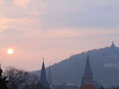 Holiday apartment Altes Logierhaus - Outdoor photo 7