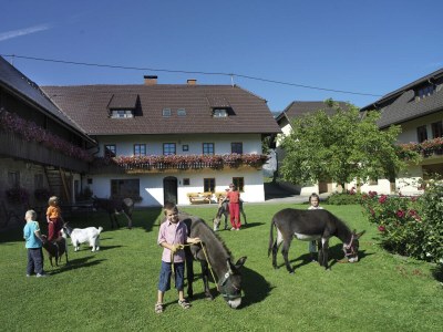 Holiday apartment Bauernhof Perhinig in Hohenthurn - Holiday apartment