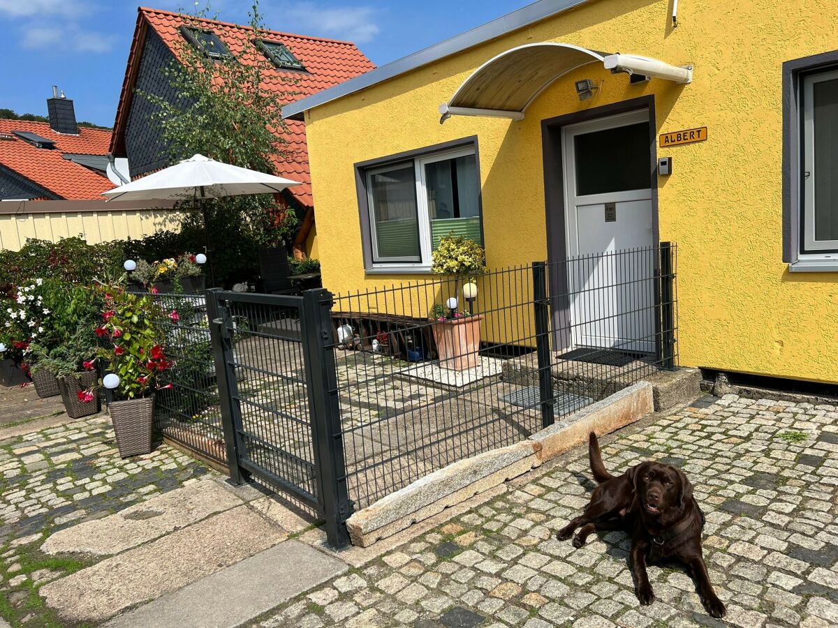 Bungalow Bungalow in Wernigerode - Outdoor photo 5