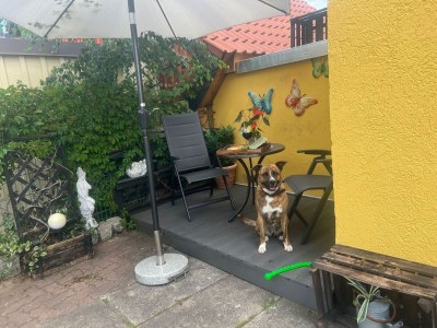 Bungalow Bungalow in Wernigerode - Outdoor photo 4