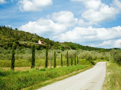 Holiday house Elegant 2-Bedroom Holiday Home in Tuscan. - Environment photo 38